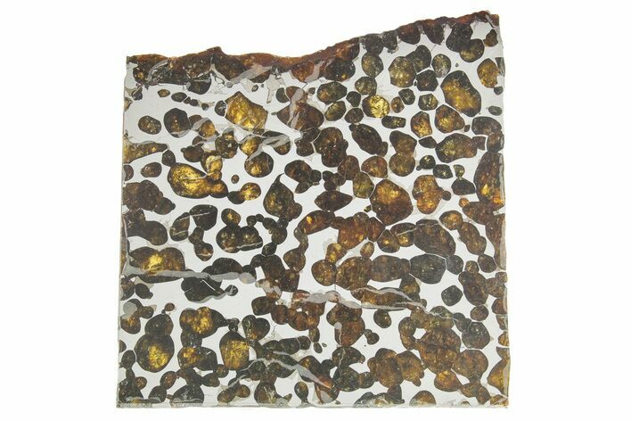 Sericho Pallasite Meteorite ( g) Slice - Kenya #375619